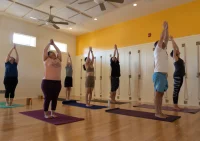 Vinyasa-flow