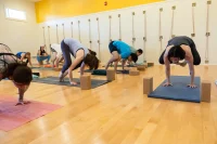 artemis-yoga-flow-experienced-crow-pose-bakasana